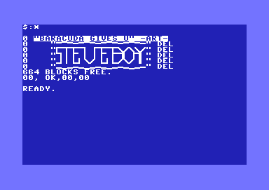 Steveboy - Dirart.png